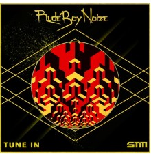 Rude Boy Noize - Tune In