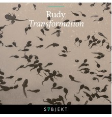 Rudy - Transformation