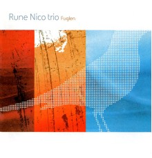 Rune Nicolaysen - Fuglen