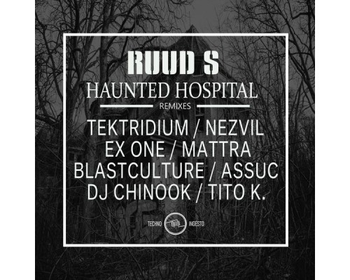 Ruud S - Haunted Hospital