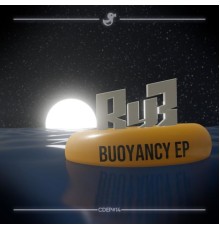 Ry3 - Buoyancy