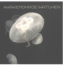 Ryal - Awake Monroe / Watcher