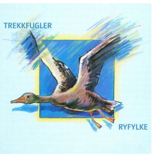 Ryfylke - Trekkfugler