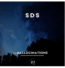 SDS - Hallucinations