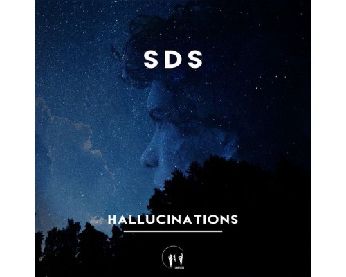 SDS - Hallucinations