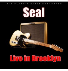 SEAL - Live in Brooklyn (Live)