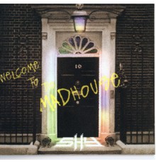 SHY - Welcome to the Madhouse