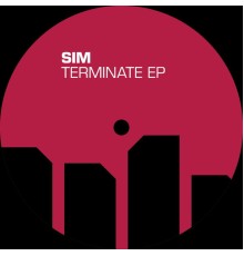 SIM - Terminate