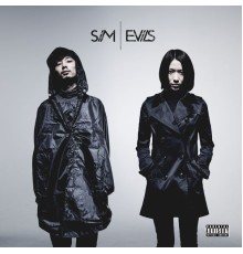 SIM - Evils