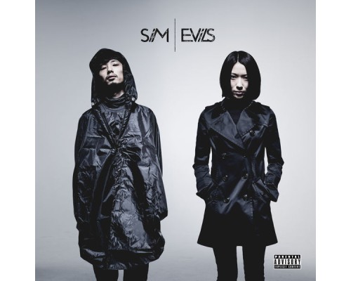 SIM - Evils