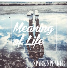 SPARK SPEAKER - Meaning of Life