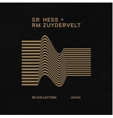 SR Hess + RM Zuydervelt - Re:collecting