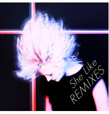 S.R. Krebs - She Like Remixes