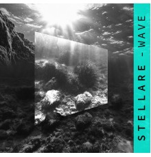 STELLARE - Wave