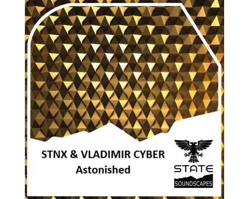 STNX & Vladimir Cyber - Astonished