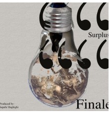 SURPLUS - Finale