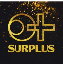 SURPLUS - Hindsight