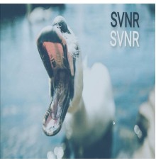 SVNR - SVNR