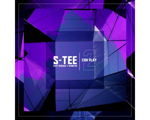 S Tee - 2 Can Play