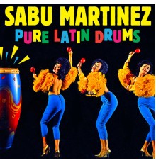 Sabu Martinez - Pure Latin Drums