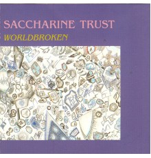 Saccharine Trust - Worldbroken