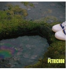 Safar - Petrichor