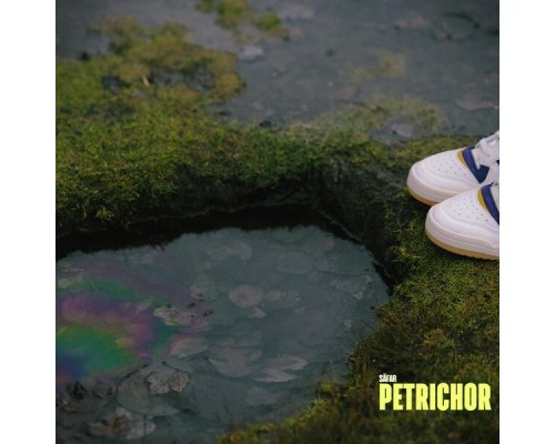 Safar - Petrichor