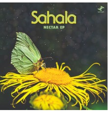 Sahala, Strategy - Nectar