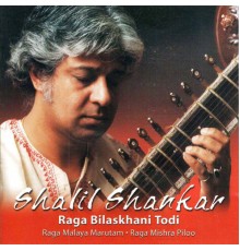 Salil Shankar - Raga Bilaskhani Todi