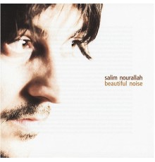 Salim Nourallah - Beautiful Noise