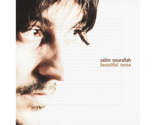 Salim Nourallah - Beautiful Noise