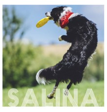 Salina - Demo