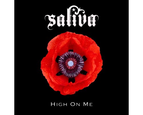 Saliva - High on Me