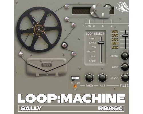 Sally - Loop Machine