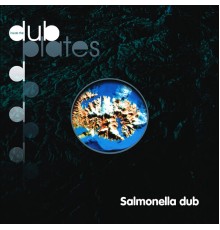 Salmonella Dub - Inside the Dubplates