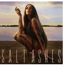 Salt Ashes - counting crosses