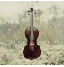 Saltillo - Ganglion