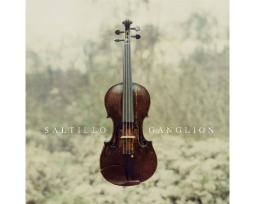 Saltillo - Ganglion