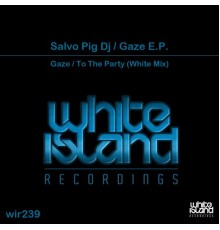 Salvo Pig DJ - Gaze