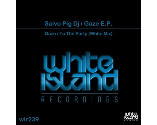 Salvo Pig DJ - Gaze