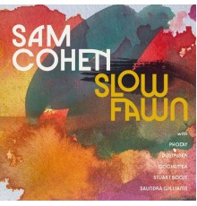 Sam Cohen - Slow Fawn