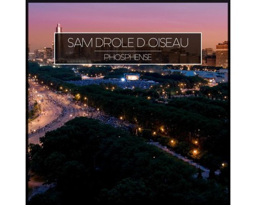 Sam Drole D Oiseau - Phosphense