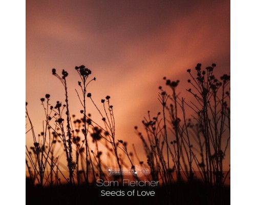 Sam Fletcher - Seeds of Love