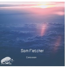 Sam Fletcher - Confusion