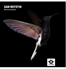 Sam Rotstin - Untouchable (Original Mix)