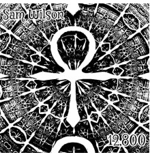 Sam Wilson - 12,800