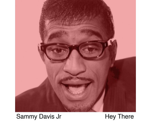 Sammy Davis Jr - Hey There (Live)