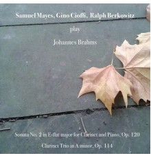 Samuel Mayes, Gino Cioffi & Ralph Berkowitz - Johannes Brahms: Sonata No. 2 in E-Flat Major for Clarinet and Piano, Op. 120 - Clarinet Trio in A Minor, Op. 114