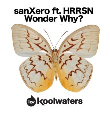 SanXero ft HRRSN - Wonder Why?