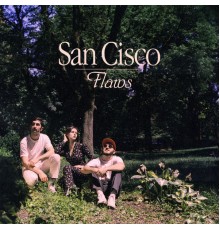 San Cisco - Flaws